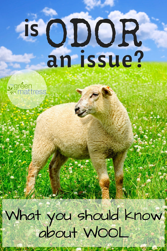 Is Odor an Issue for Natural Wool Mattresses?