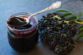 Elderberry Syrup Recipe