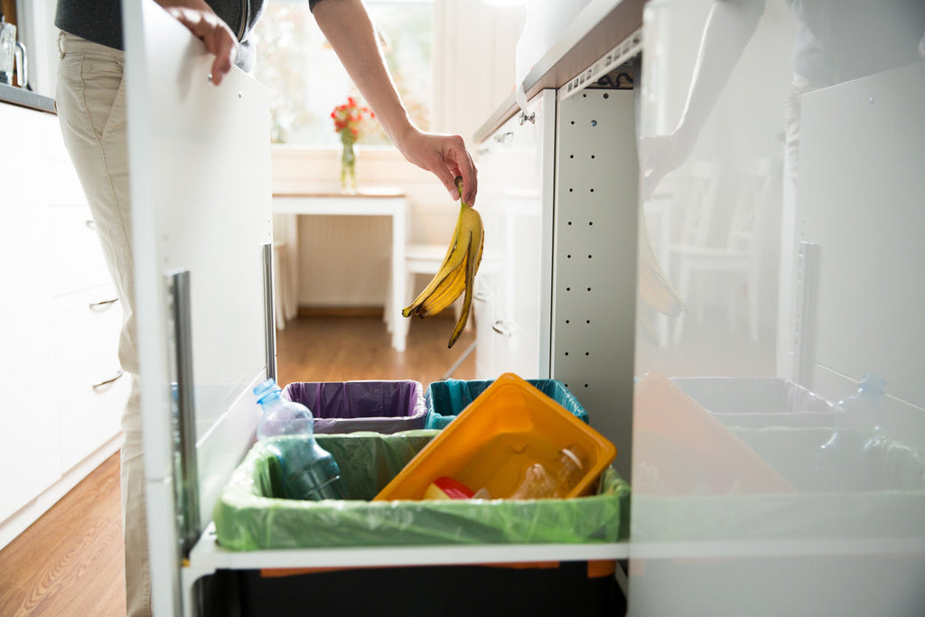 food-compost-recycle-bin