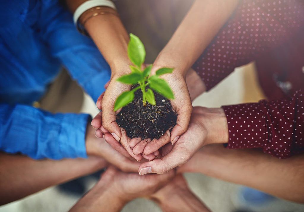 Recycle-city-people-plant-hands-composting